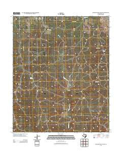 Badger Nest Tank Texas Historical topographic map, 1:24000 scale, 7.5 X 7.5 Minute, Year 2012