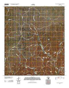 Bee Cave Hollow Texas Historical topographic map, 1:24000 scale, 7.5 X 7.5 Minute, Year 2010