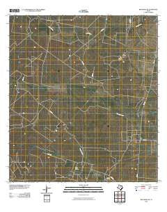 Benavides NE Texas Historical topographic map, 1:24000 scale, 7.5 X 7.5 Minute, Year 2010