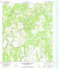 Big Valley North Texas Historical topographic map, 1:24000 scale, 7.5 X 7.5 Minute, Year 1980