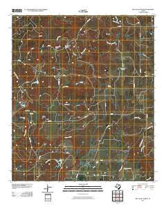 Big Valley North Texas Historical topographic map, 1:24000 scale, 7.5 X 7.5 Minute, Year 2010