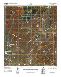 Big Valley South Texas Historical topographic map, 1:24000 scale, 7.5 X 7.5 Minute, Year 2010