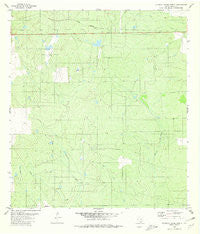 Blancas Creek North Texas Historical topographic map, 1:24000 scale, 7.5 X 7.5 Minute, Year 1980
