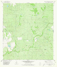 Blancas Creek South Texas Historical topographic map, 1:24000 scale, 7.5 X 7.5 Minute, Year 1980