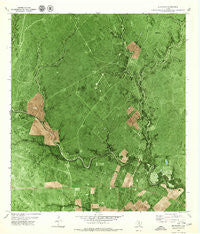 Blanconia Texas Historical topographic map, 1:24000 scale, 7.5 X 7.5 Minute, Year 1979