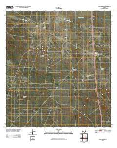 Cage Ranch Texas Historical topographic map, 1:24000 scale, 7.5 X 7.5 Minute, Year 2010