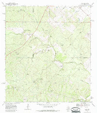 Clegg Texas Historical topographic map, 1:24000 scale, 7.5 X 7.5 Minute, Year 1969
