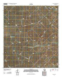 Clegg NE Texas Historical topographic map, 1:24000 scale, 7.5 X 7.5 Minute, Year 2010