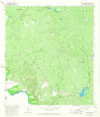 Cuervo Creek Texas Historical topographic map, 1:24000 scale, 7.5 X 7.5 Minute, Year 1965