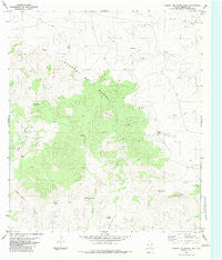 Cuesta Del Burro East Texas Historical topographic map, 1:24000 scale, 7.5 X 7.5 Minute, Year 1983
