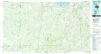 George West Texas Historical topographic map, 1:100000 scale, 30 X 60 Minute, Year 1985