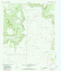 Lovers Resort Texas Historical topographic map, 1:24000 scale, 7.5 X 7.5 Minute, Year 1958