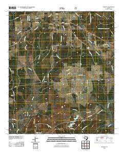 Manning Texas Historical topographic map, 1:24000 scale, 7.5 X 7.5 Minute, Year 2010