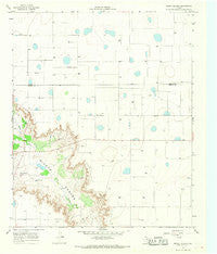 Mount Blanco Texas Historical topographic map, 1:24000 scale, 7.5 X 7.5 Minute, Year 1966