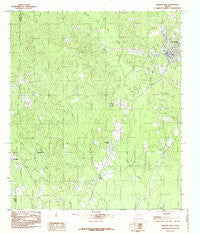 Newton West Texas Historical topographic map, 1:24000 scale, 7.5 X 7.5 Minute, Year 1984