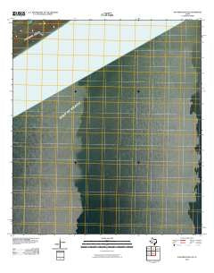 Panther Point NE Texas Historical topographic map, 1:24000 scale, 7.5 X 7.5 Minute, Year 2010