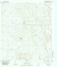 Puerto Potrillo Texas Historical topographic map, 1:24000 scale, 7.5 X 7.5 Minute, Year 1983