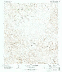 Sauceda Ranch Texas Historical topographic map, 1:24000 scale, 7.5 X 7.5 Minute, Year 1971