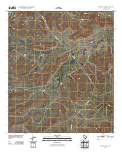 Sherbino Ranch Texas Historical topographic map, 1:24000 scale, 7.5 X 7.5 Minute, Year 2010