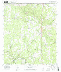 Spring Branch Texas Historical topographic map, 1:24000 scale, 7.5 X 7.5 Minute, Year 1964