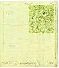 Tilden Texas Historical topographic map, 1:62500 scale, 15 X 15 Minute, Year 1930