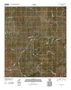 Well Hollow Texas Historical topographic map, 1:24000 scale, 7.5 X 7.5 Minute, Year 2010