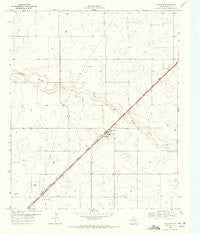 Wellman Texas Historical topographic map, 1:24000 scale, 7.5 X 7.5 Minute, Year 1969