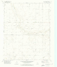 Wells Ranch Texas Historical topographic map, 1:24000 scale, 7.5 X 7.5 Minute, Year 1973