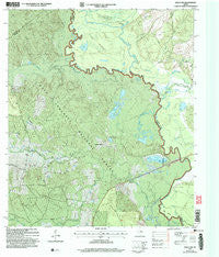 Wells SW Texas Historical topographic map, 1:24000 scale, 7.5 X 7.5 Minute, Year 2004