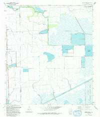 Whites Ranch Texas Historical topographic map, 1:24000 scale, 7.5 X 7.5 Minute, Year 1993