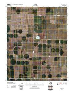 Wilco Texas Historical topographic map, 1:24000 scale, 7.5 X 7.5 Minute, Year 2010