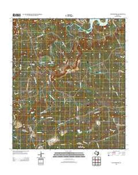 Youngsport Texas Historical topographic map, 1:24000 scale, 7.5 X 7.5 Minute, Year 2013