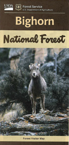 Buy map BIGHORN NATIONAL FOREST, WY