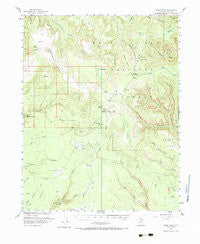 Bears Ears Utah Historical topographic map, 1:62500 scale, 15 X 15 Minute, Year 1954