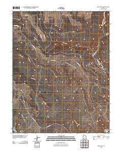 Devil Mesa Utah Historical topographic map, 1:24000 scale, 7.5 X 7.5 Minute, Year 2010