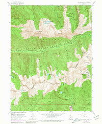 Dromedary Peak Utah Historical topographic map, 1:24000 scale, 7.5 X 7.5 Minute, Year 1955