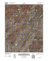 Dry Willow Peak Utah Historical topographic map, 1:24000 scale, 7.5 X 7.5 Minute, Year 2010