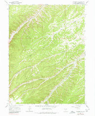 Duchesne SW Utah Historical topographic map, 1:24000 scale, 7.5 X 7.5 Minute, Year 1964