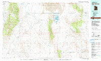 Fish Springs Utah Historical topographic map, 1:100000 scale, 30 X 60 Minute, Year 1979
