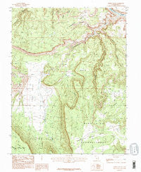 Fisher Valley Utah Historical topographic map, 1:24000 scale, 7.5 X 7.5 Minute, Year 1985