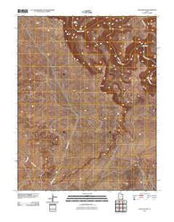 Goulding NE Utah Historical topographic map, 1:24000 scale, 7.5 X 7.5 Minute, Year 2011