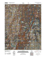 Government Point Utah Historical topographic map, 1:24000 scale, 7.5 X 7.5 Minute, Year 2011