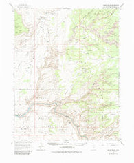 Grand Gulch Utah Historical topographic map, 1:62500 scale, 15 X 15 Minute, Year 1963