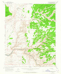 Grand Gulch Utah Historical topographic map, 1:62500 scale, 15 X 15 Minute, Year 1963