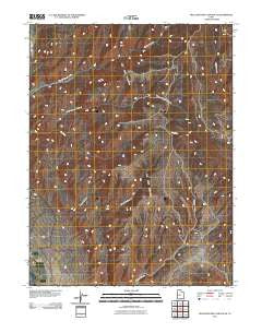 Hells Kitchen Canyon SE Utah Historical topographic map, 1:24000 scale, 7.5 X 7.5 Minute, Year 2011