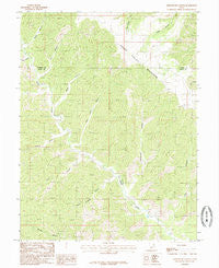 Lighthouse Canyon Utah Historical topographic map, 1:24000 scale, 7.5 X 7.5 Minute, Year 1985