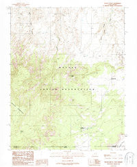 Navajo Begay Utah Historical topographic map, 1:24000 scale, 7.5 X 7.5 Minute, Year 1987