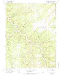 Pine Spring Canyon Utah Historical topographic map, 1:24000 scale, 7.5 X 7.5 Minute, Year 1966