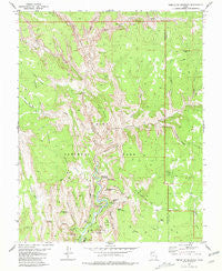 Temple of Sinawava Utah Historical topographic map, 1:24000 scale, 7.5 X 7.5 Minute, Year 1980