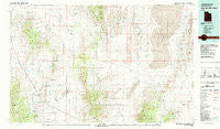 Wah Wah Mts. North Utah Historical topographic map, 1:100000 scale, 30 X 60 Minute, Year 1980
